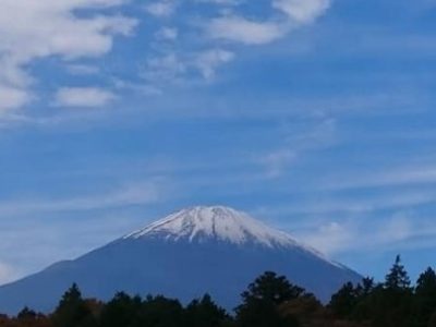 チャリティ茶会が開催されます ～表千家茶道教室 宗沁会～